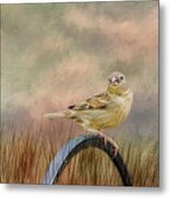 Sparrow In The Grass Metal Print