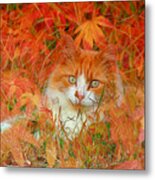 Special Kitty Metal Print