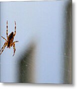 Spider Hello Panorama Metal Print