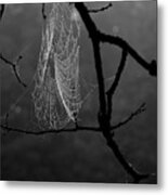 Spider Web Covered In Dew Metal Print