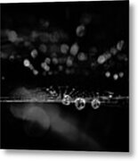 Spiderweb No 2
Covered In Early Metal Print