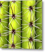 Spines Metal Print