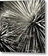 Spines Of The Times Metal Print