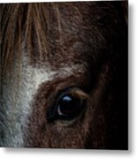 Spirit Metal Print