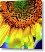 Splash Of Sunshine Metal Print