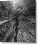 Split Earth Bw Metal Print