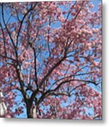 Spring 4 Metal Print