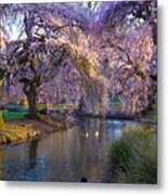 Spring In Portland Metal Print