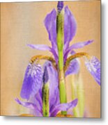 Spring Irises 2 Metal Print