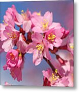 Spring Is In The Air Metal Print