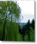 Spring Landscape Willows Metal Print