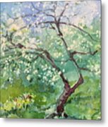 Spring Plum Metal Print