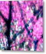 Spring Redbud Abstract Metal Print