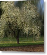 Spring Time In The Country 2 Metal Print