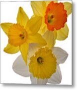 Spring Trio Metal Print