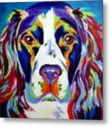 Springer Spaniel - Cassie Metal Print