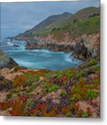 Springtime In Big Sur Metal Print