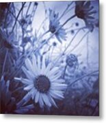 Square Blue Daisy Dusk Metal Print