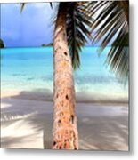 St John Usvi Metal Print