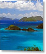 St. John's Usvi Metal Print