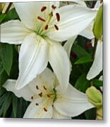 Stacked White Lilies Metal Print