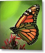 Stained Glass Butterfly Metal Print