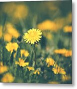 Stand Out Metal Print
