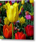 Standing Out From The Crowd Metal Print