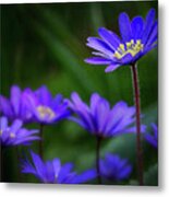 Standing Out From The Crowd Metal Print
