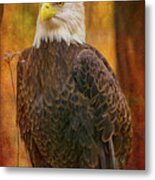 Standing Tall And Proud Metal Print