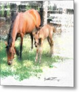 Star And Her Colt Metal Print