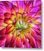 Starburst Metal Print