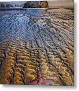 Starfish At Low Tide Metal Print