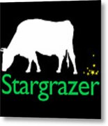 Stargrazer Metal Print