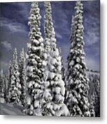 Steamboat Springs Trees 2 Metal Print