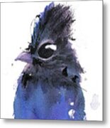 Steller Jay Metal Print