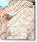 Stone Feet In Valley Of Fire Metal Print