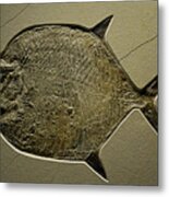 Stone Fish Metal Print