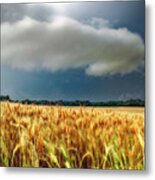 Storm Over Ripening Wheat Metal Print