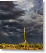 Stormy Arizona Skies Metal Print