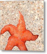 Stranded Starfish Metal Print