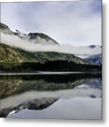 Strathcona Park Bc Metal Print