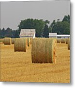 Straw Bales 7674 Metal Print