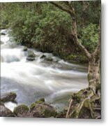 Stream Below Torc Waterfall Killarney National Park Metal Print