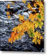 Stream In Fall Metal Print