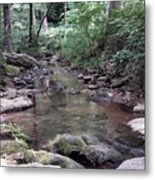 Stream Ponderings Metal Print