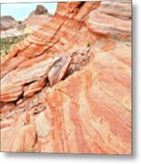 Striped Sandstone Along Park Road In Valley Of Fire Metal Print