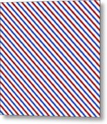 Stripes Diagonal Carmine Red Cobalt Blue Simple Modern Metal Print