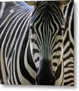 Stripes Metal Print