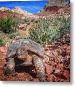 Strut Metal Print